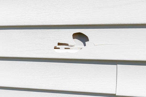 Best Vinyl Siding Installation  in Hartford City, IN